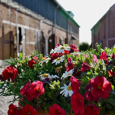 Knusthof Lafrenz - Kuestenblick Appartement