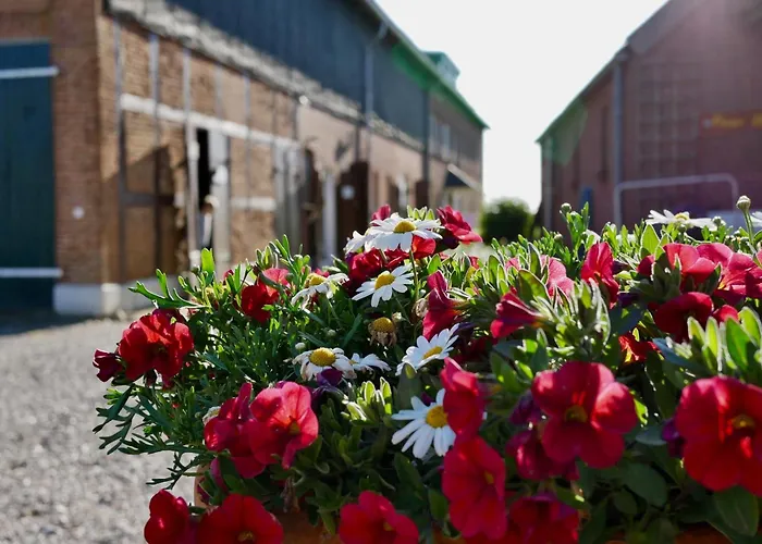 Knusthof Lafrenz - Küstenblick Apartment